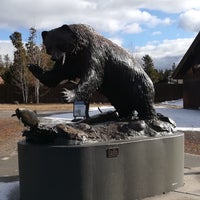 grizzly