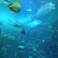 Photo taken at Enoshima Aquarium by KMA on 3/19/2024
