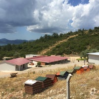 Urla Hayvan Barinagi