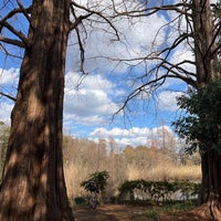 Photo taken at Zenpukuji Park by nengu3 on 2/18/2024