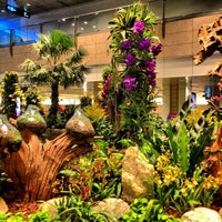 Photo taken at Singapore Changi Airport (SIN) by Kemal K. on 7/8/2013