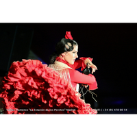 Das Foto wurde bei Tablao Flamenco Los Porches von tablao flamenco los porches am 12/1/2015 aufgenommen
