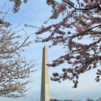 Photo taken at Cherry Blossom Grove by BM on 3/24/2020