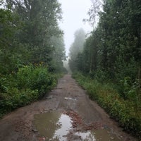 Photo taken at БЦ «Лайнер» by Евгений М. on 9/18/2017