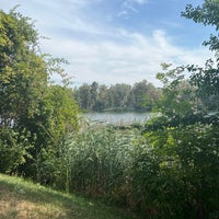 Photo taken at Alte Donau by Andras B. on 8/13/2022