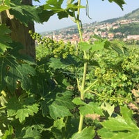 Das Foto wurde bei Fratelli Vogadori - Amarone Valpolicella Family Winery von Amarone V. am 6/5/2021 aufgenommen