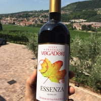 Снимок сделан в Fratelli Vogadori - Amarone Valpolicella Family Winery пользователем Amarone V. 9/21/2020