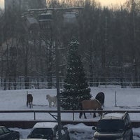 Photo taken at КСК «Матадор» by Ирина Ф. on 1/16/2017