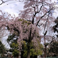 Photo taken at 平塚幼稚園 by a B. on 3/20/2021