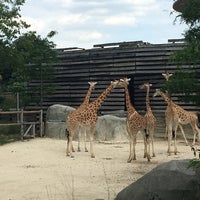 Photo taken at Parc Zoologique de Paris by Hasti K. on 7/8/2016