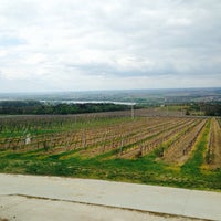 Photo taken at Hilltop Winery by Dobó L. on 4/15/2014