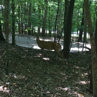 Photo taken at Fairy Stone State Park by Ryan on 8/13/2016