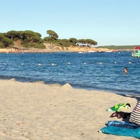 Plage De Palombaggia 27 Tips