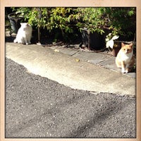 Photo taken at Takagicho pedestrian tunnel by akira801 on 10/19/2012