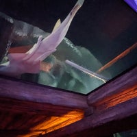 Photo taken at Shark Reef Aquarium by Melissa J. on 4/18/2024