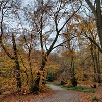 Photo taken at Epping Forest by Ania on 11/19/2023