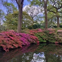 Photo taken at Isabella Plantation by Ania on 4/29/2023