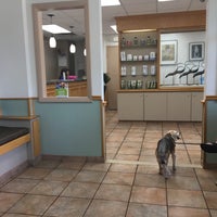 animal medical hospital st pete