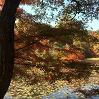 Photo taken at Kobe Municipal Arboretum by s s. on 11/11/2018