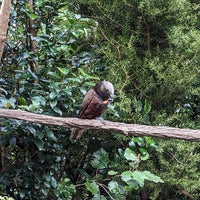 Снимок сделан в Zealandia Eco-Sanctuary пользователем Ben M. 7/19/2023