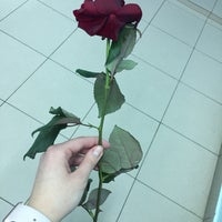 Photo taken at Школа № 1205 «Диалог» by София К. on 12/22/2016