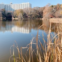 Photo taken at Inokashira Park by Qvomi on 12/23/2020