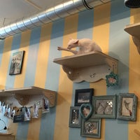 Chat Mallows Cafe 8 Tips