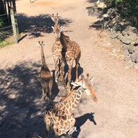 Foto scattata a Brevard Zoo da Alyssa C. il 2/29/2020