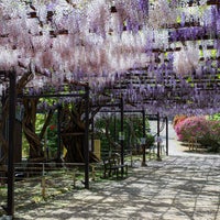 Photo taken at Flowers and histories Park Janohana by レイヴァン on 5/2/2023