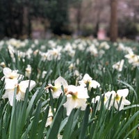 Photo taken at Church House Gardens by Peter T. on 3/30/2018