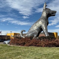 Denver Animal Shelter - Valverde - 5 tips Denver Animal Shelter - Valverde - 5 tips