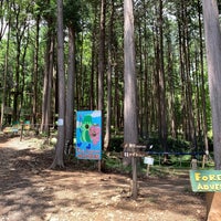 フォレストアドベンチャーおおひら 栃木市 栃木県 フォレストアドベンチャーおおひら 栃木市 栃木県