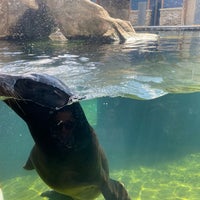 Photo taken at Turtle Back Zoo by Jeremy M. on 3/18/2024