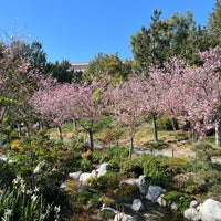 Das Foto wurde bei Japanese Friendship Garden von Mike D. am 4/8/2024 aufgenommen