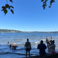 Photo taken at Magnuson Park Off-Leash Dog Park by Masato W. on 8/6/2022
