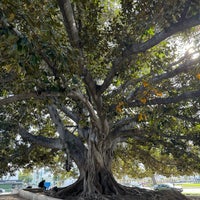 Photo taken at Massive Tree by 五山イツキ on 1/30/2024