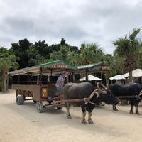 竹富観光センター Tourist Information Center
