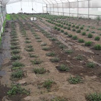 Photo taken at Productores Ecologicos de Xochimilco S. Cooperativa by JUAN C. on 8/27/2017