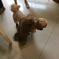Photo taken at Whole Pet Kitchen: Pet Deli &amp;amp; Bark-ery by Daphne S. on 4/1/2017