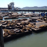 Photo taken at Sea Lions by Tanvir H. on 5/17/2013
