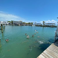 4/4/2022 tarihinde LI X.ziyaretçi tarafından Postcard Inn Beach Resort &amp;amp; Marina'de çekilen fotoğraf