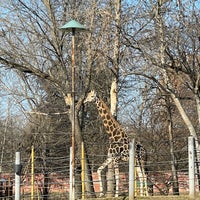 Photo taken at Skopje Zoo by Valentina P. on 2/6/2022