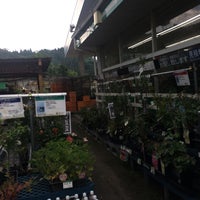 コメリ長野小川店 夏和2443 コメリ長野小川店 夏和2443