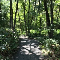 白州蒸溜所 バードサンクチュアリ 白州蒸溜所 バードサンクチュアリ