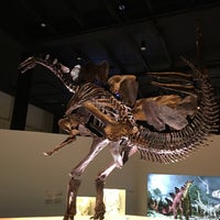 Photo taken at Morian Hall of Paleontology at HMNS by Jeremiah M. on 6/30/2019