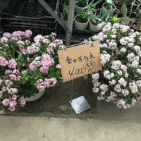 久山植木 本店 Garden Center In 久山町