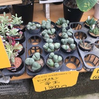 久山植木 本店 Garden Center In 久山町