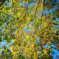 Vanbar Imaging 1 Tip