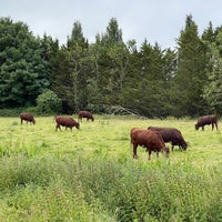 Photo taken at Coe Fen (Laundress Green) by Teatimed on 6/27/2022