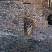 4/21/2013 tarihinde Anastasiya K.ziyaretçi tarafından Київський зоопарк'de çekilen fotoğraf